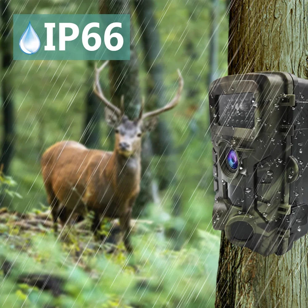 Waterproof Outdoor Camera