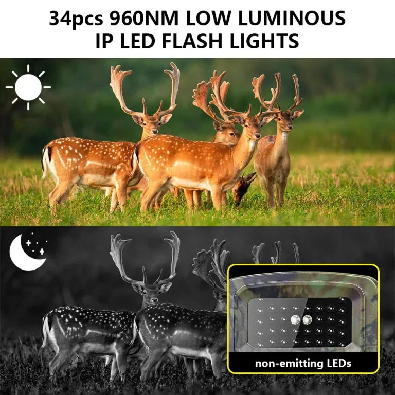 Waterproof Outdoor Camera