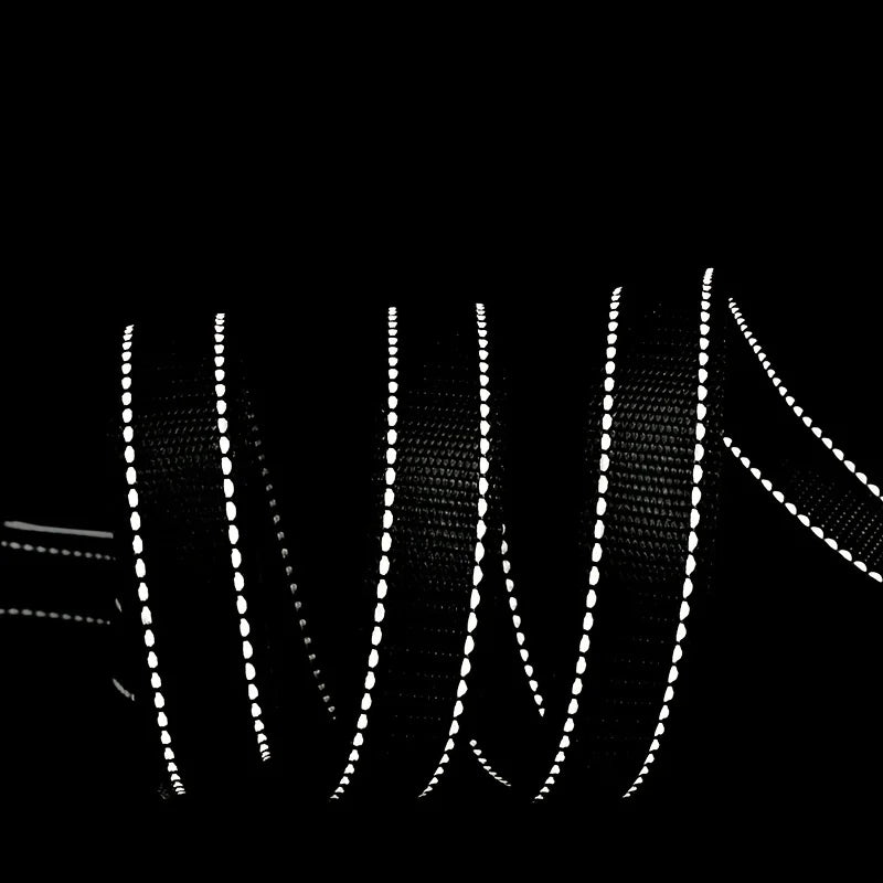 Dog Lead