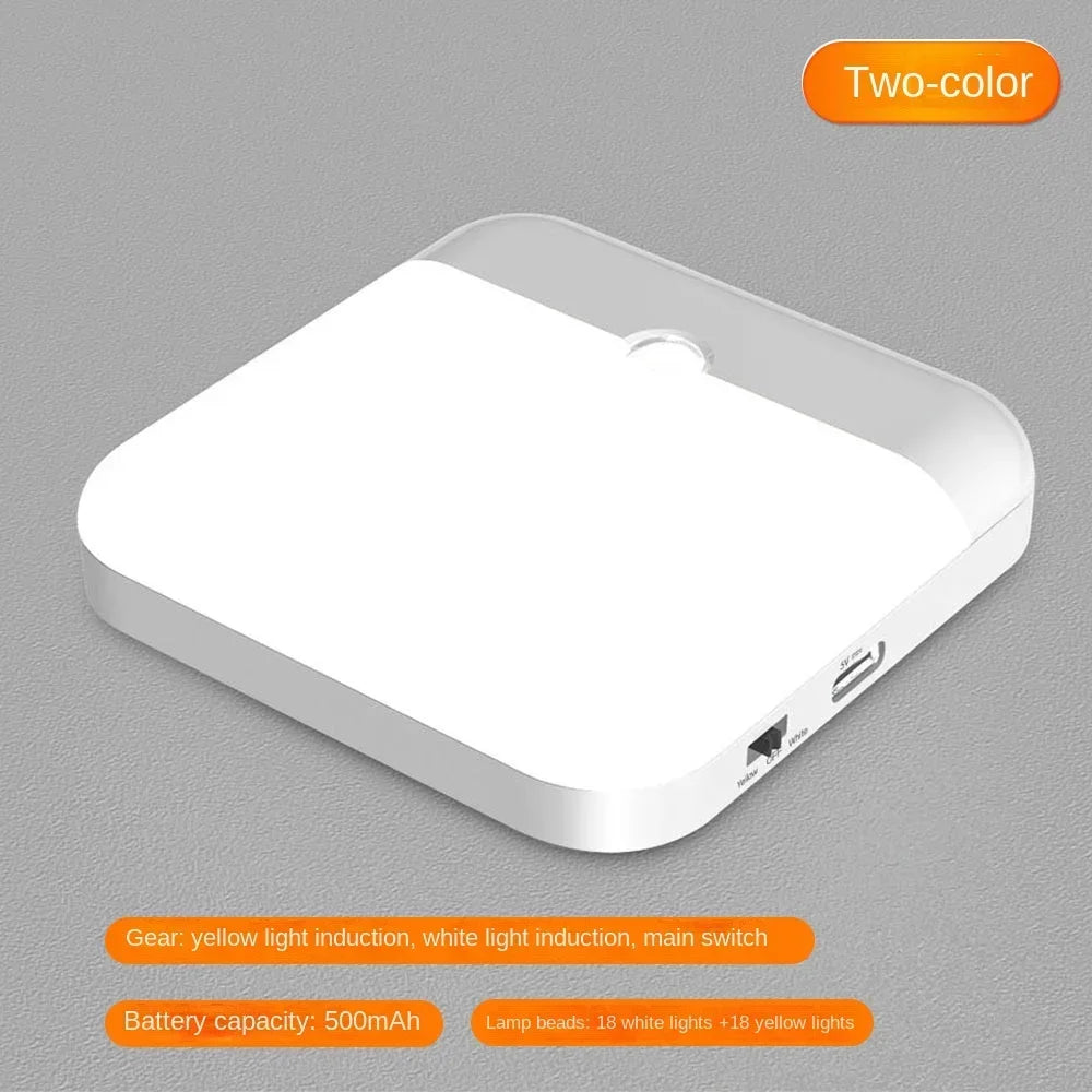 Motion Sensor Light