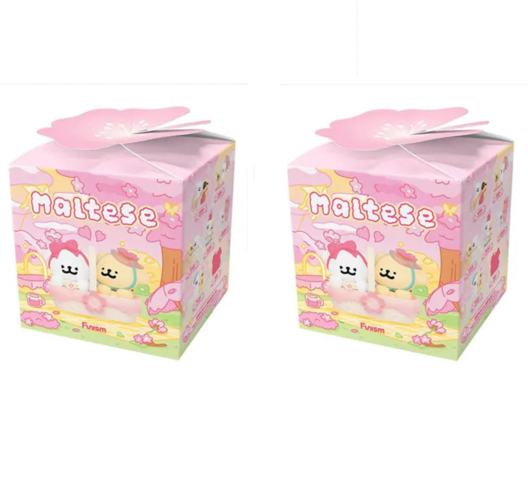 Mystery Box Dolls