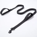 Dog Lead