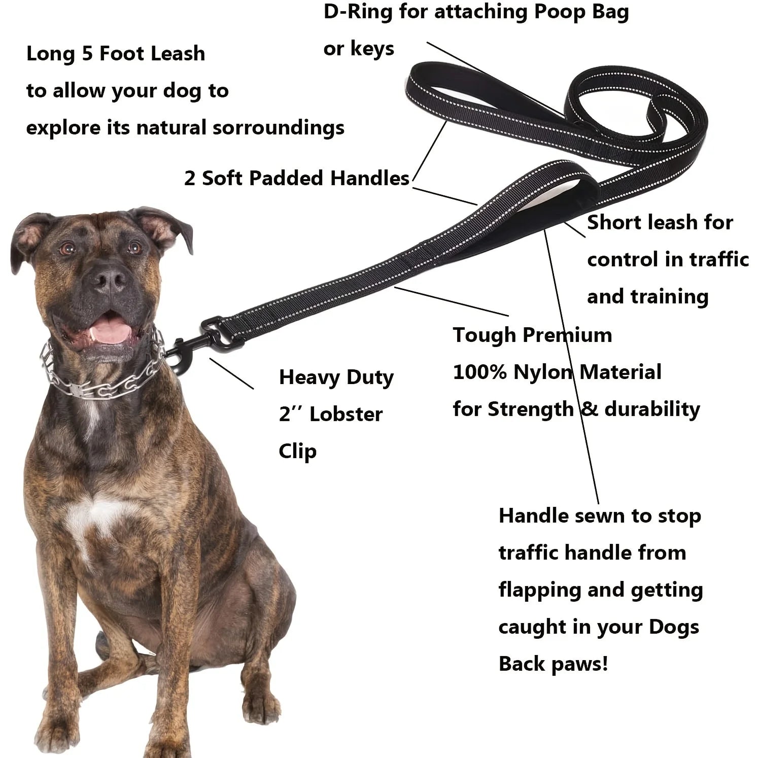 Dog Lead