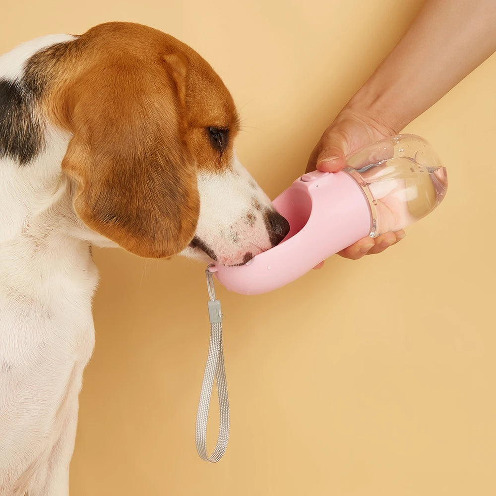 550ml Potable Dog Water Bottle
