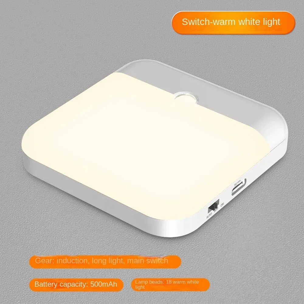 Motion Sensor Light