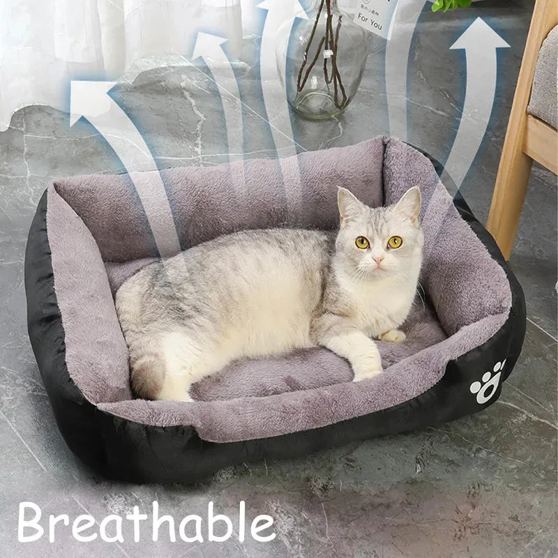 Dog Bed