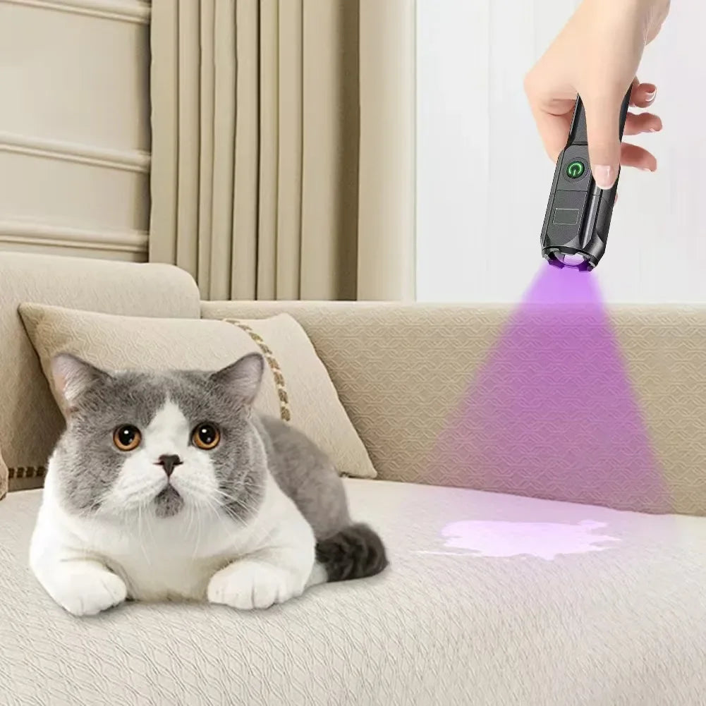 UV Flashlight