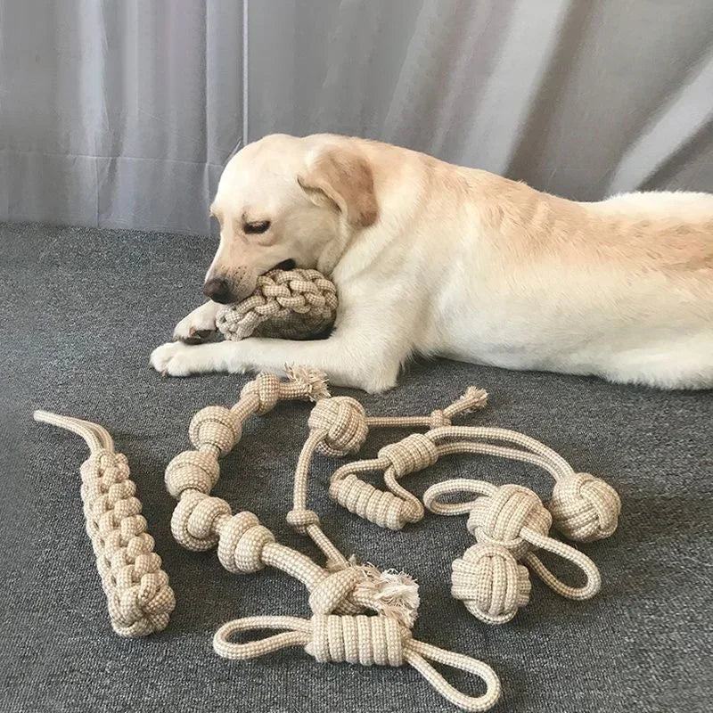 Pet Knot Toy