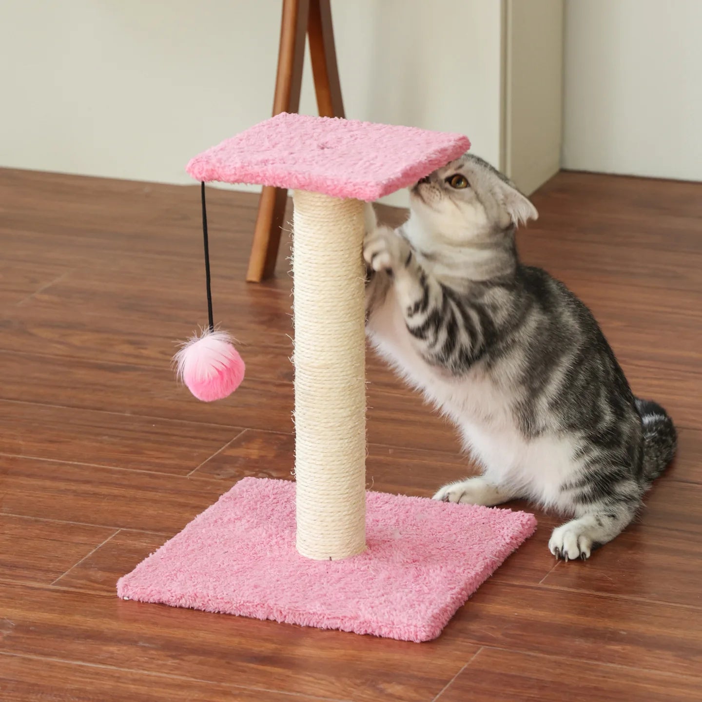 Cat Play Tree