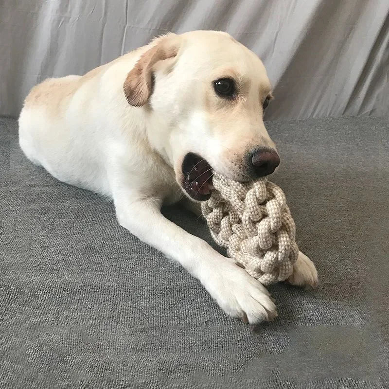 Pet Knot Toy